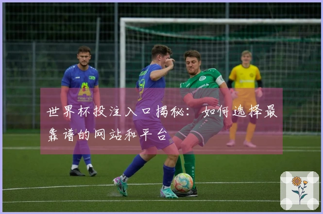 世界杯投注入口揭秘：如何选择最靠谱的网站和平台