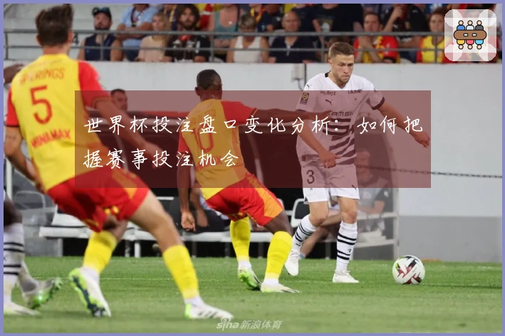 世界杯投注盘口变化分析：如何把握赛事投注机会
