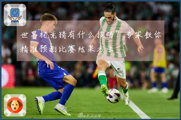 世界杯竞猜有什么技巧？专家教你精准预测比赛结果方法