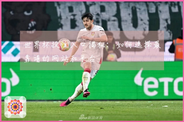 世界杯投注入口揭秘：如何选择最靠谱的网站和平台