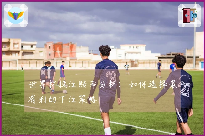 世界杯投注赔率分析：如何选择最有利的下注策略